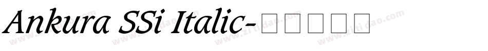 Ankura SSi Italic字体转换